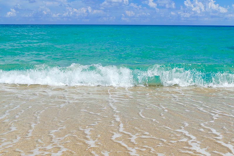 pexels-julia-rosendorfer-4623037